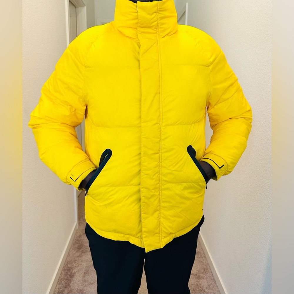 Illuminating Yellow Jacket